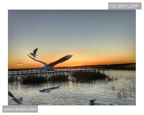 足球剑客的传奇之路与梦想追逐的激情碰撞