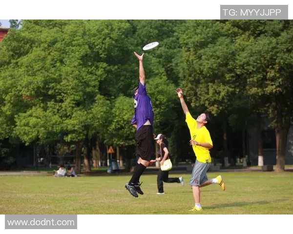 飞盘竞技的魅力上海飞盘队速度与技巧的深度分析与探讨